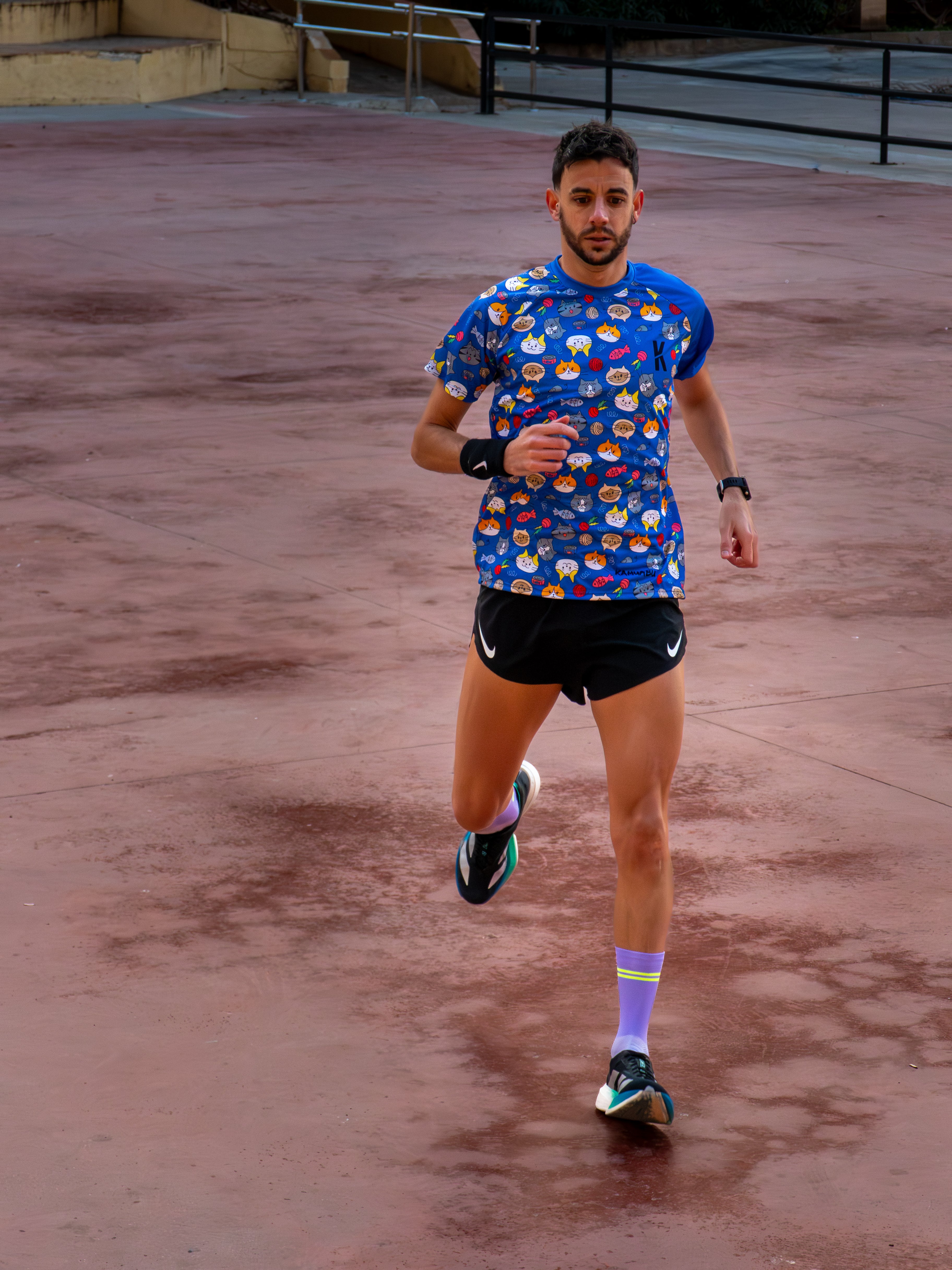 Camiseta GATITOS de running ADULTO - Azul Cielo Violeta
